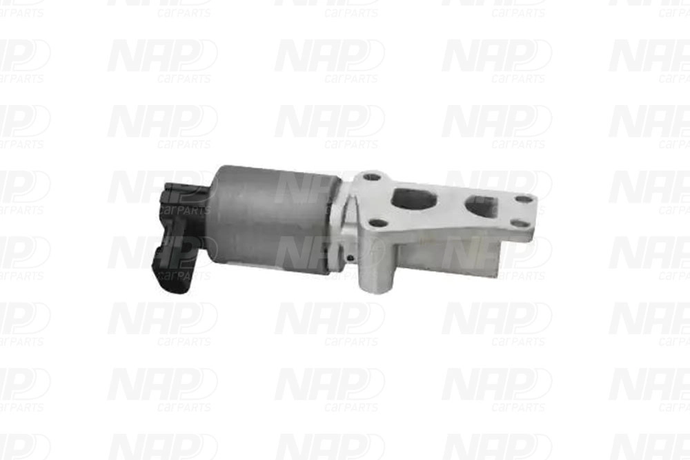 EGR Valve (CAV10047)