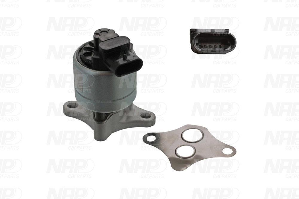 EGR Valve (CAV10026)