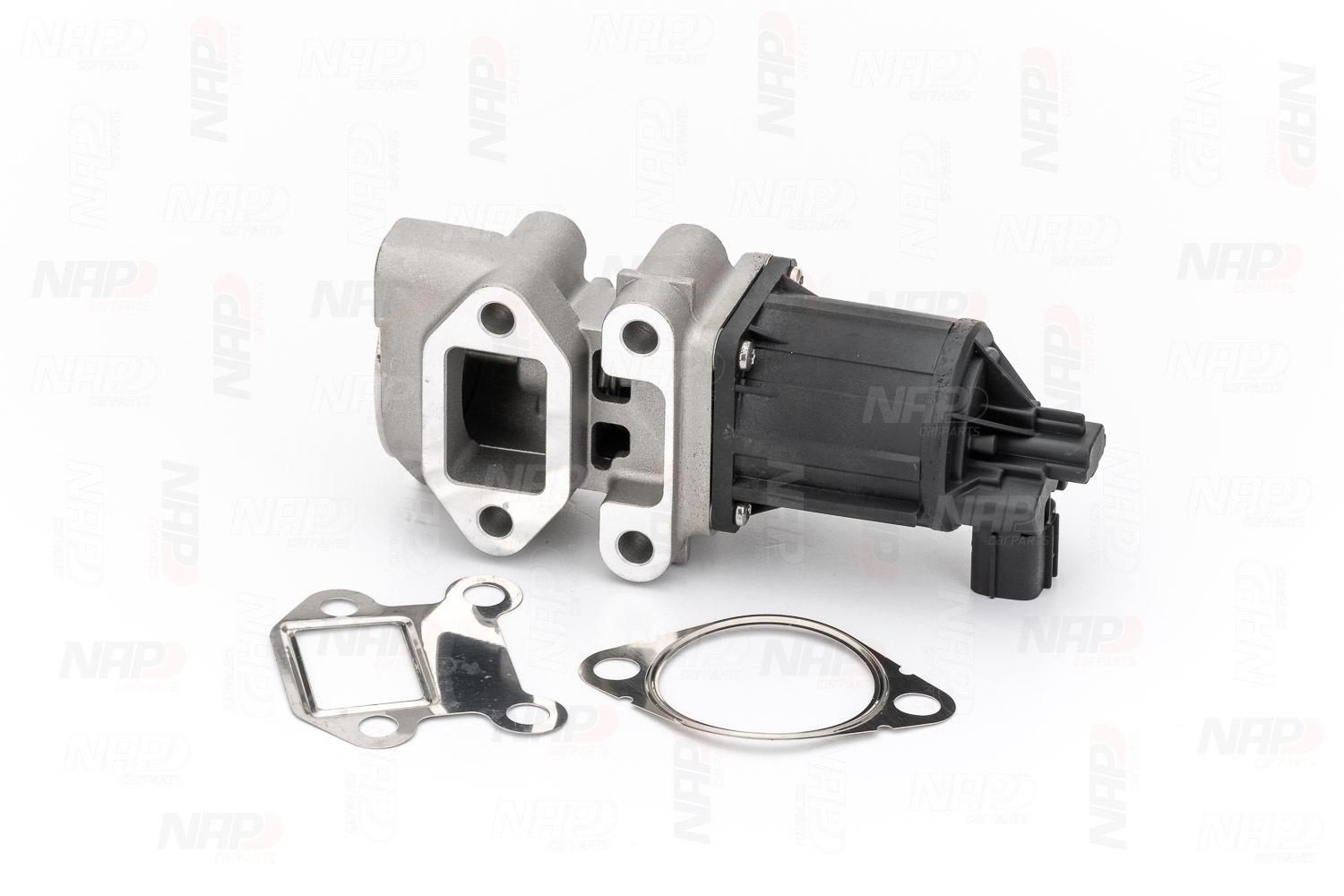 EGR Valve (CAV10175)