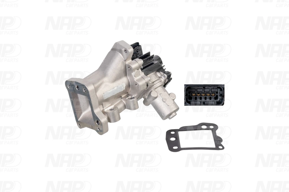 EGR Valve (CAV10125)