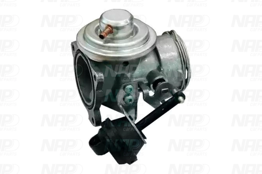 EGR Valve (CAV10149)