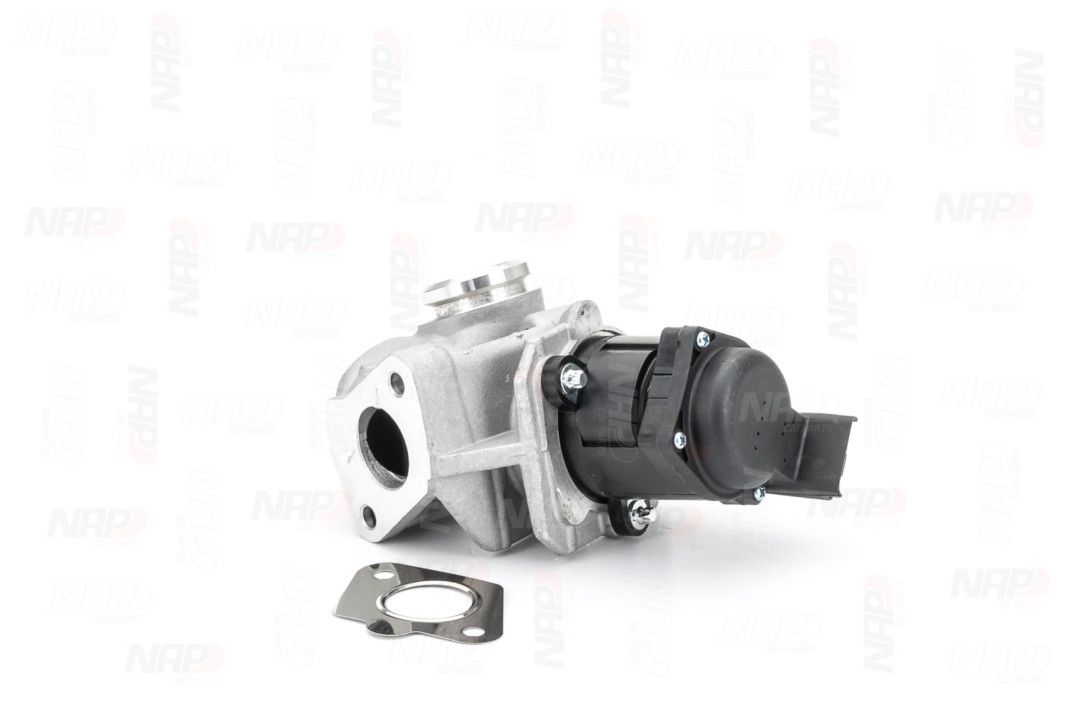 EGR Valve (CAV10053)