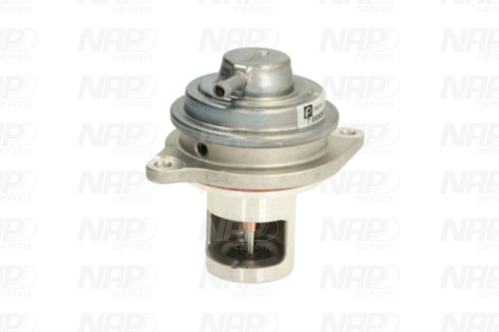 EGR Valve (CAV10148)