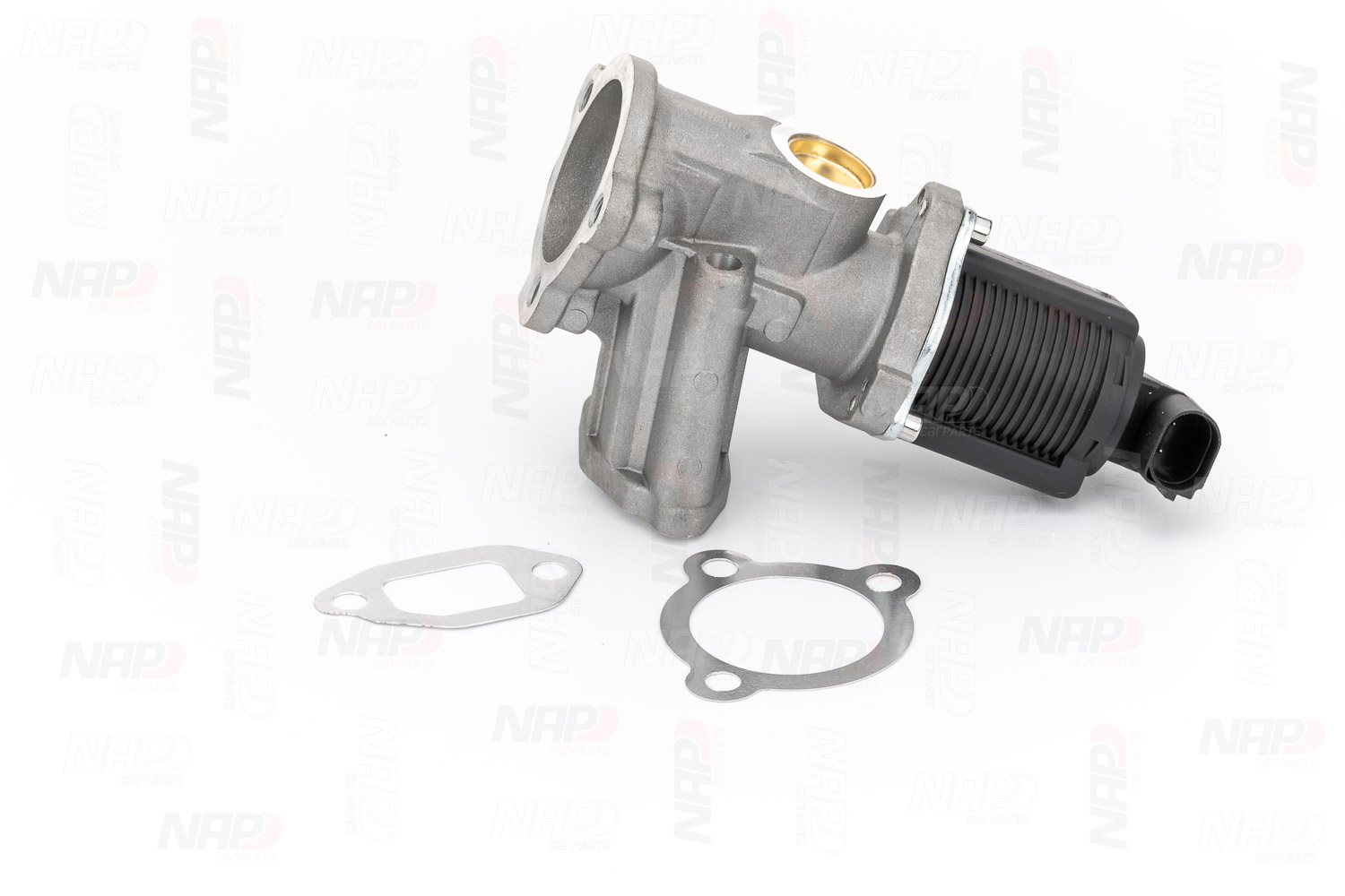EGR Valve (CAV10037)