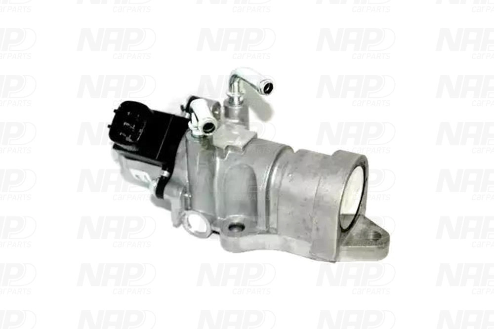 EGR Valve (CAV10166)