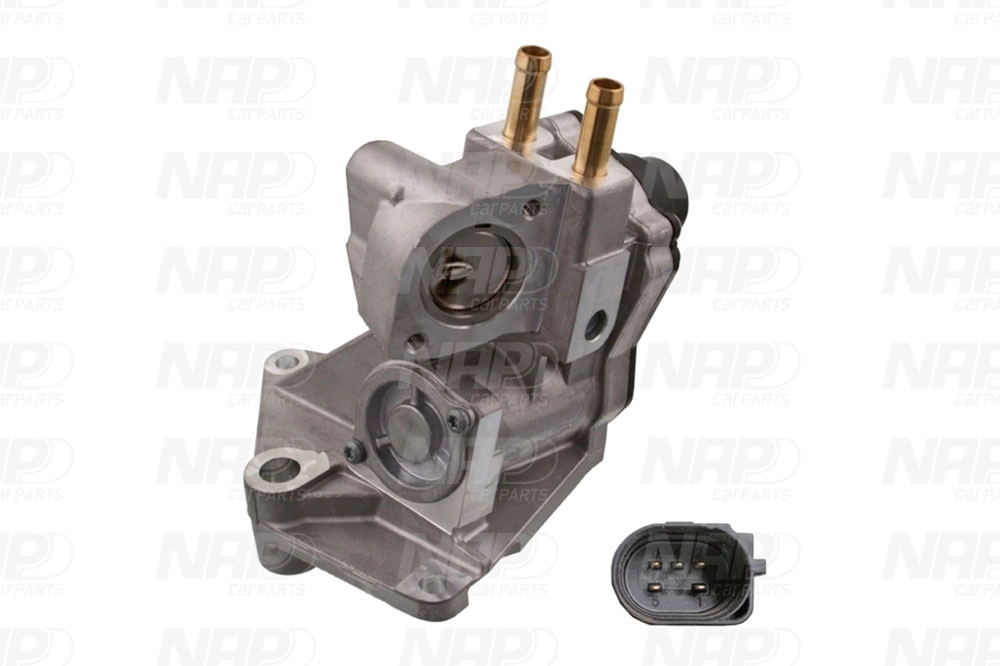 EGR Valve (CAV10095)