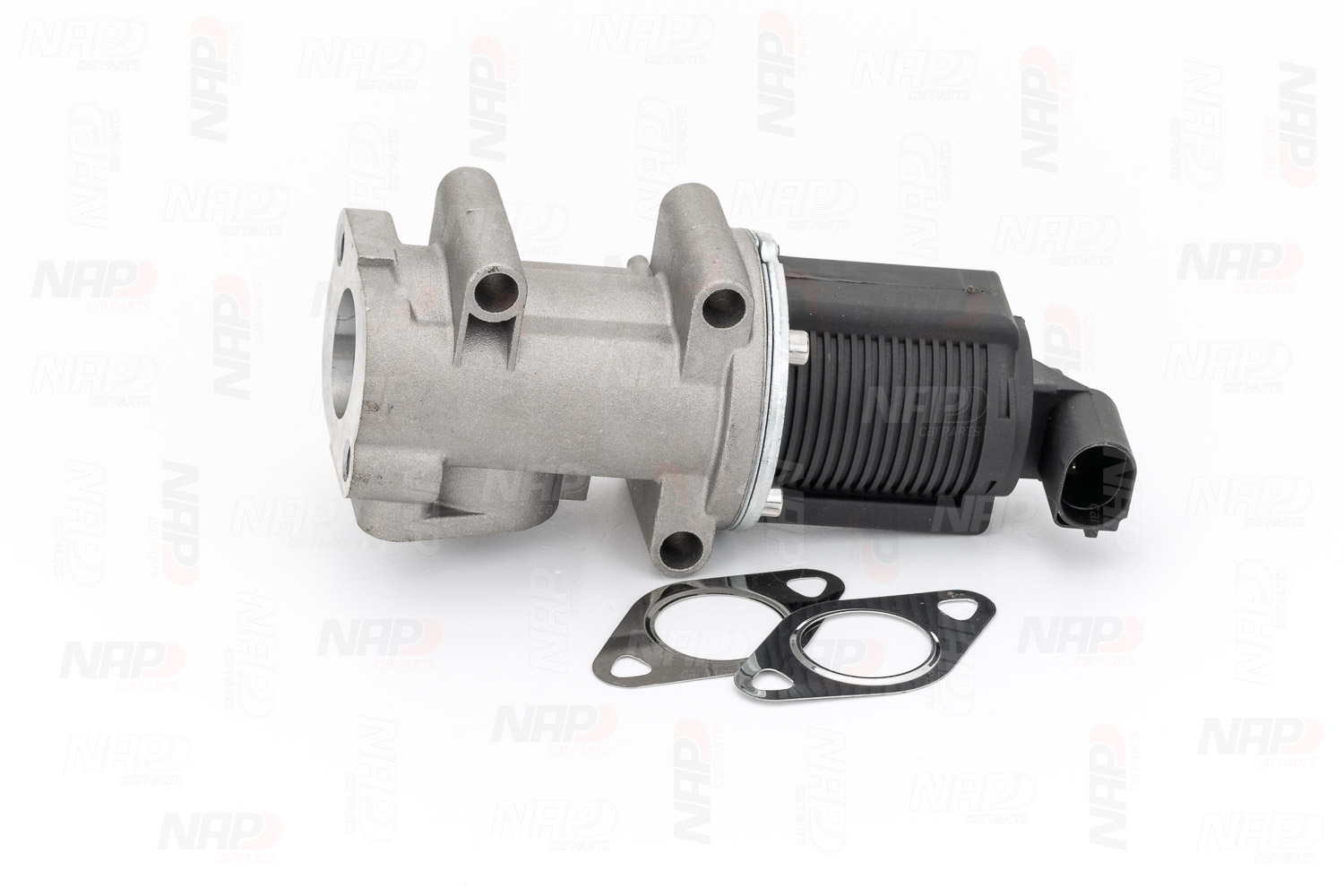 EGR Valve (CAV10017)