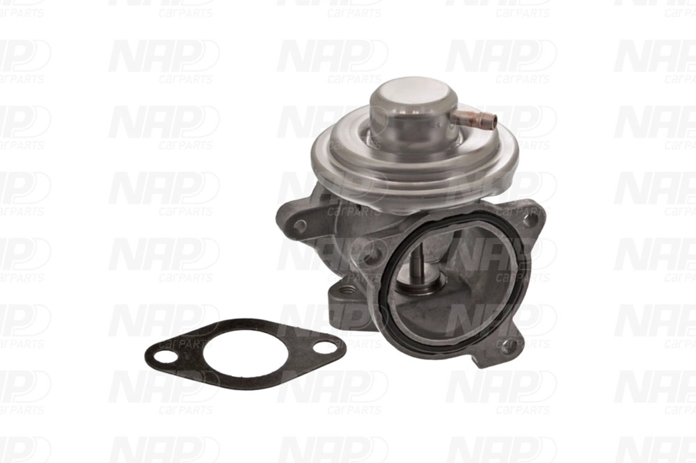 EGR Valve (CAV10038)