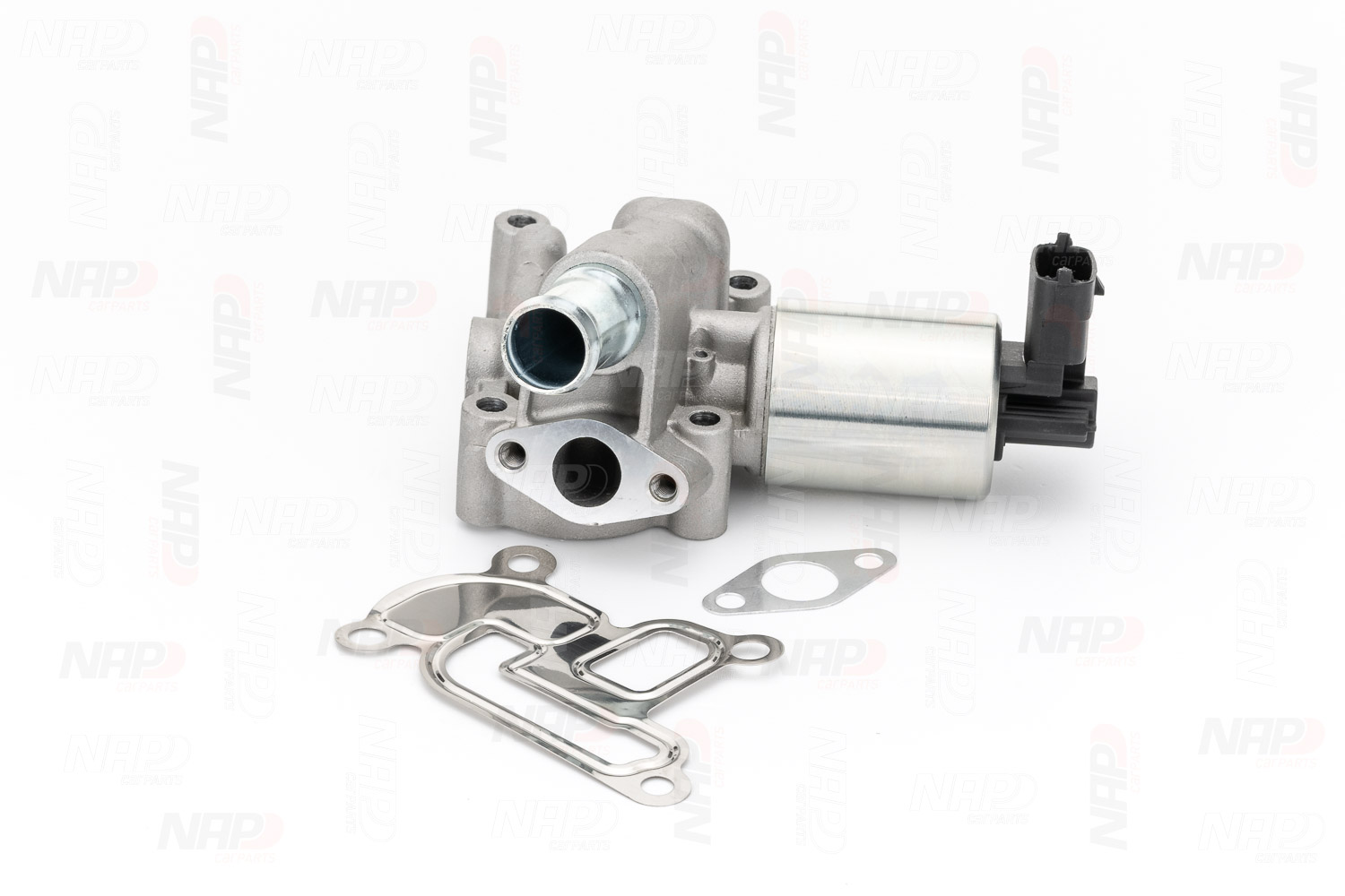 EGR Valve (CAV10023)