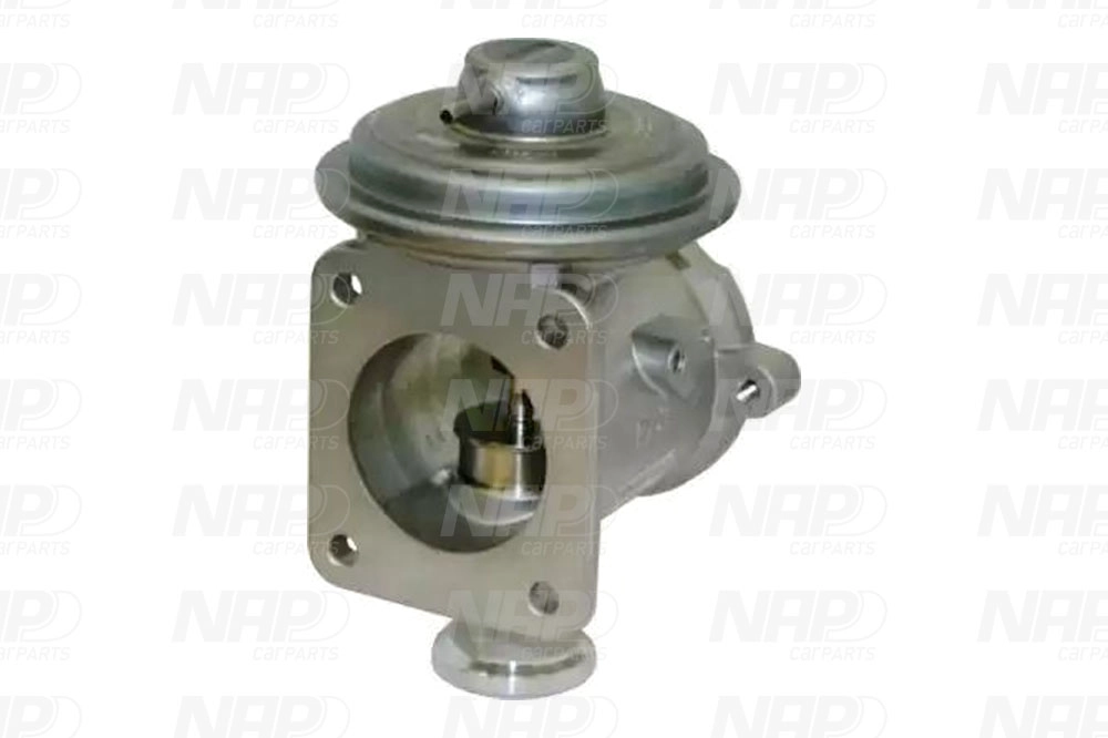 EGR Valve (CAV10133)