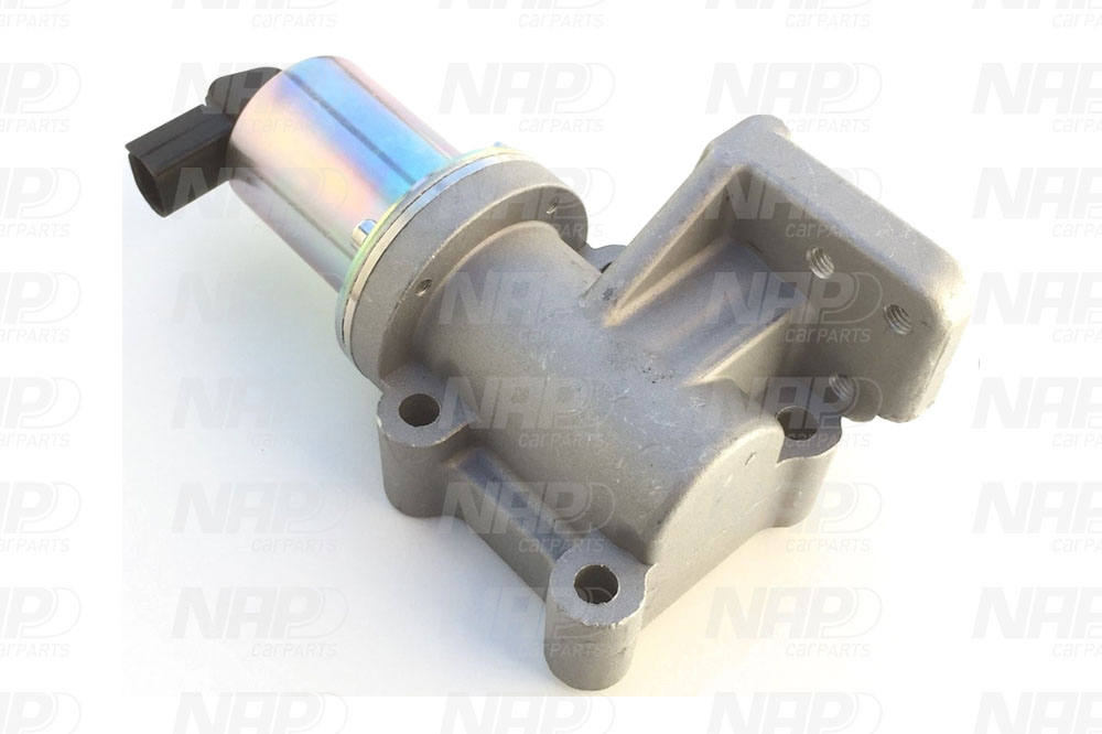EGR Valve (CAV10113)