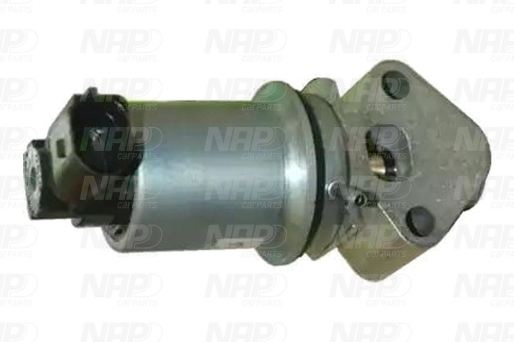 EGR Valve (CAV10034)