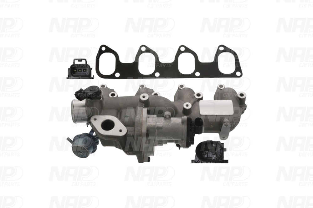 EGR Valve (CAV10165)