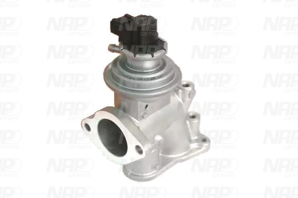 EGR Valve (CAV10137)
