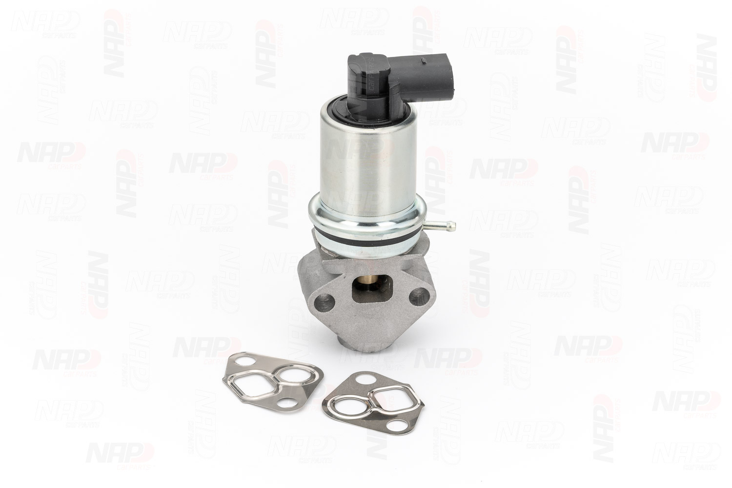 EGR Valve (CAV10035)