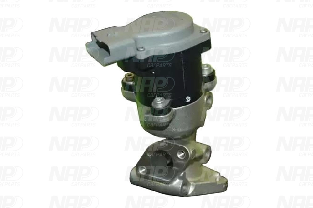 EGR Valve (CAV10068)
