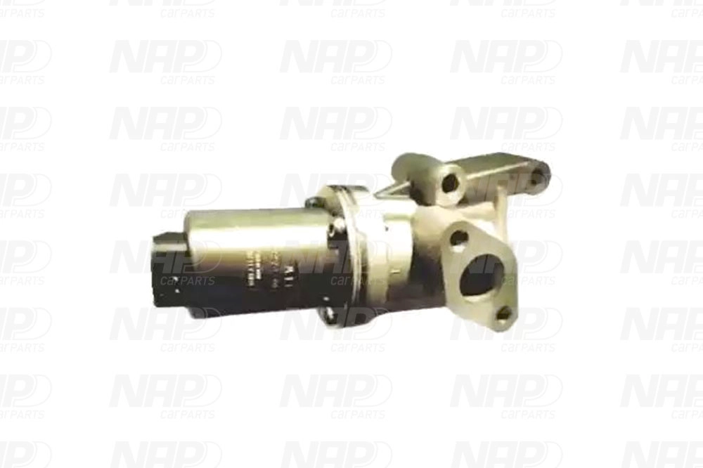 EGR Valve (CAV10146)