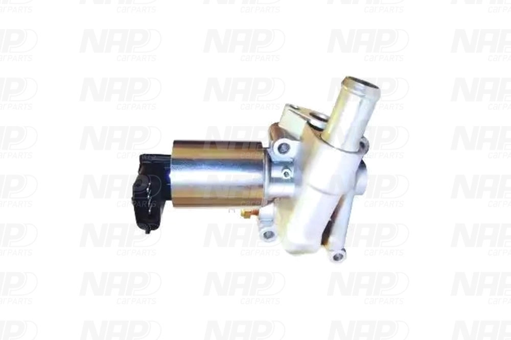 EGR Valve (CAV10030)