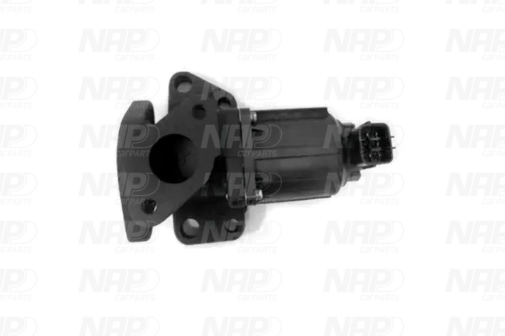 EGR Valve (CAV10163)