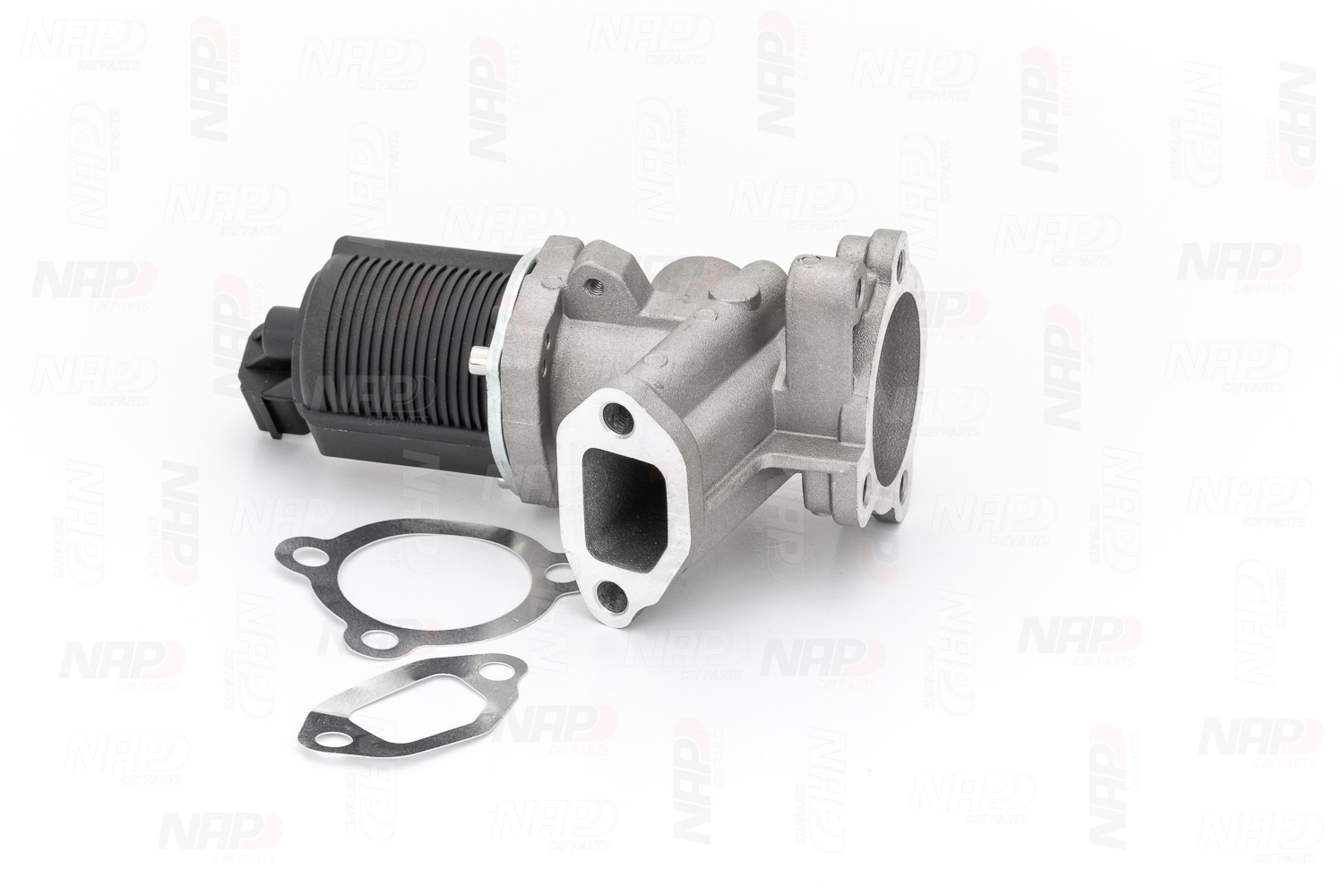 EGR Valve (CAV10036)