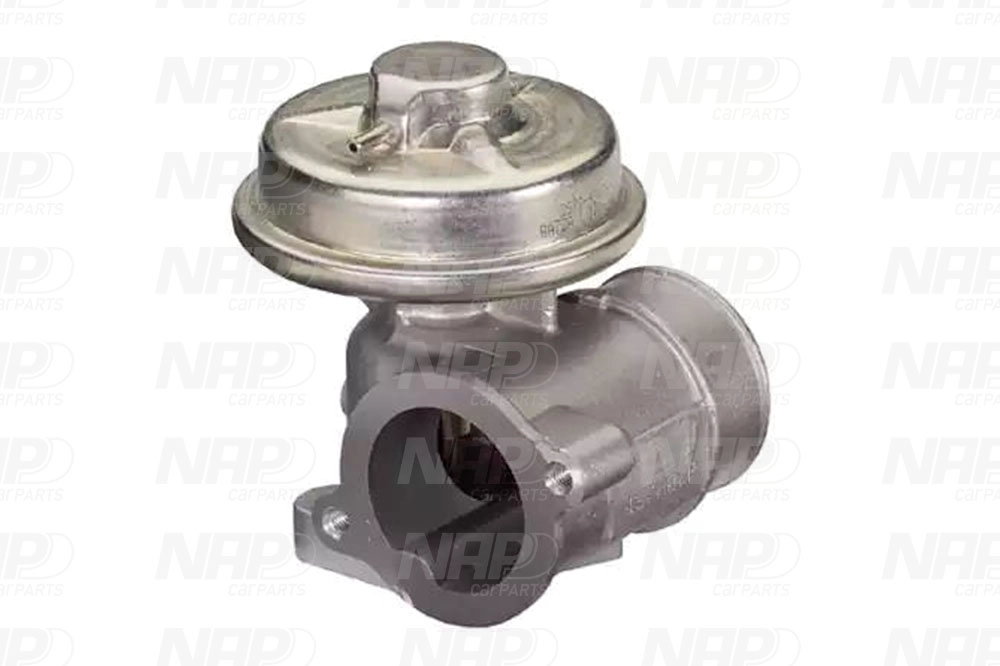 EGR Valve (CAV10043)