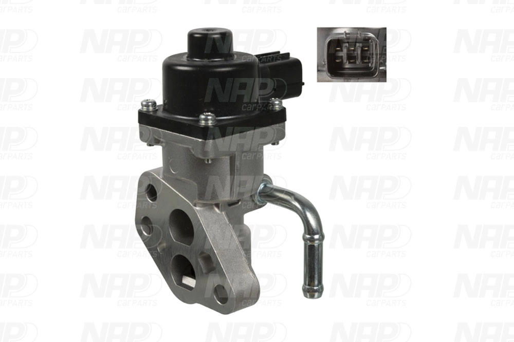 EGR Valve (CAV10044)