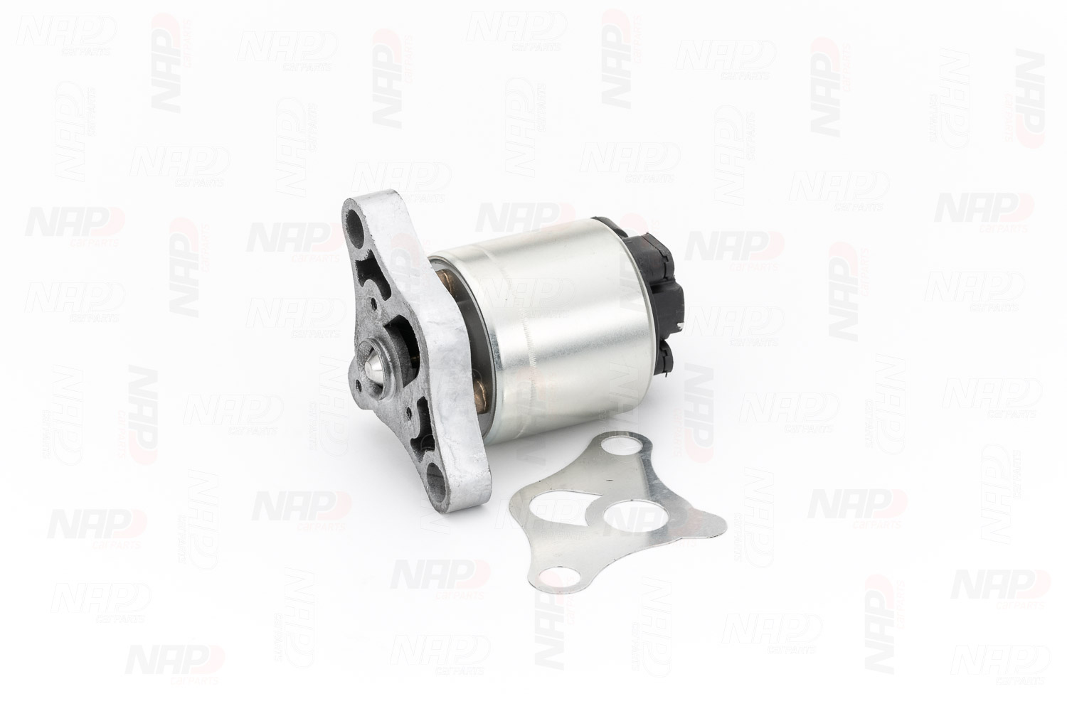 EGR Valve (CAV10002)