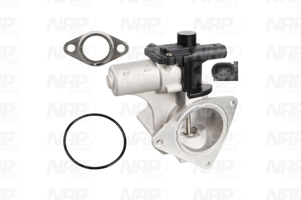 EGR Valve (CAV10122)