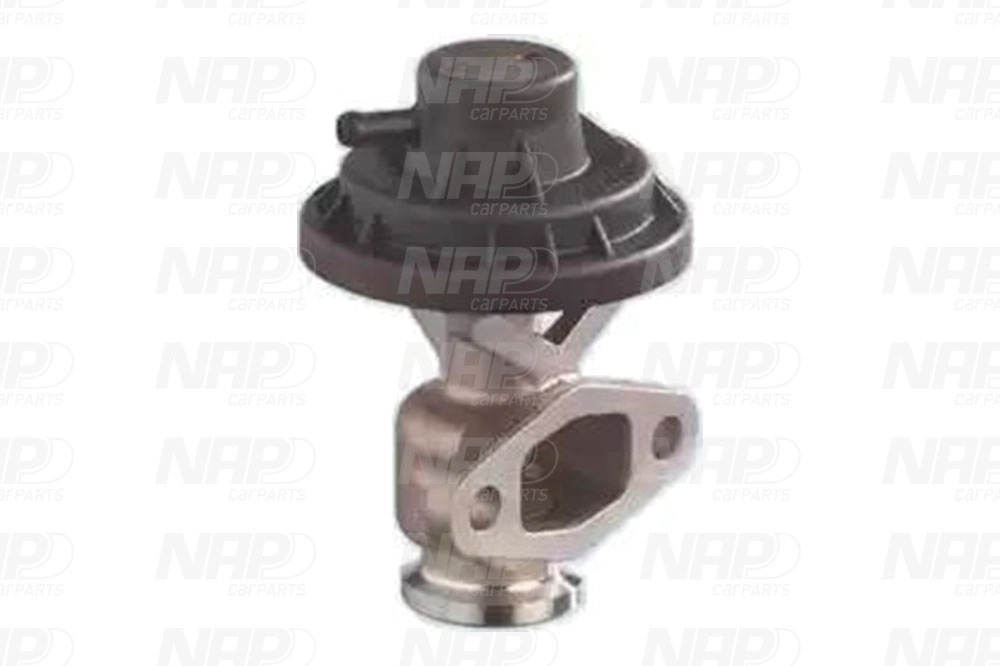 EGR Valve (CAV10090)