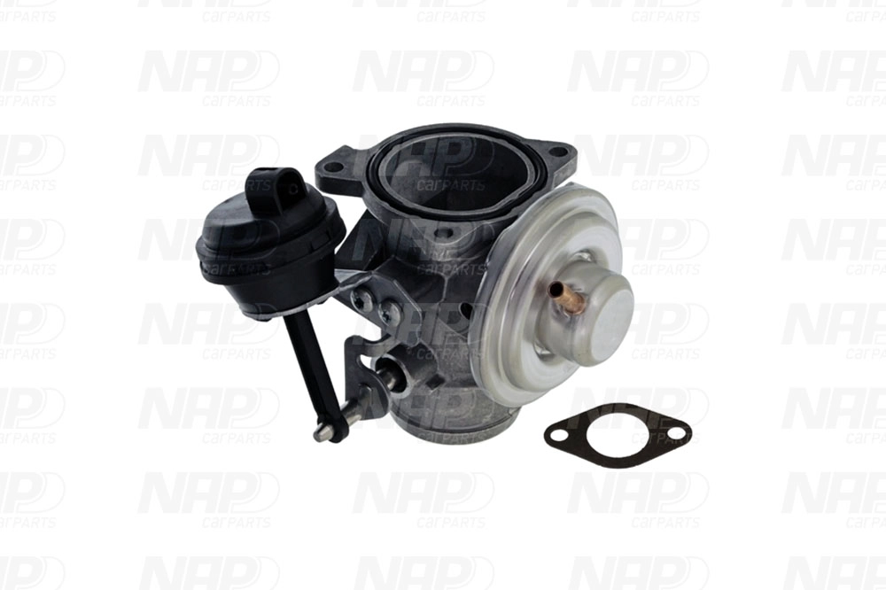 EGR Valve (CAV10088)