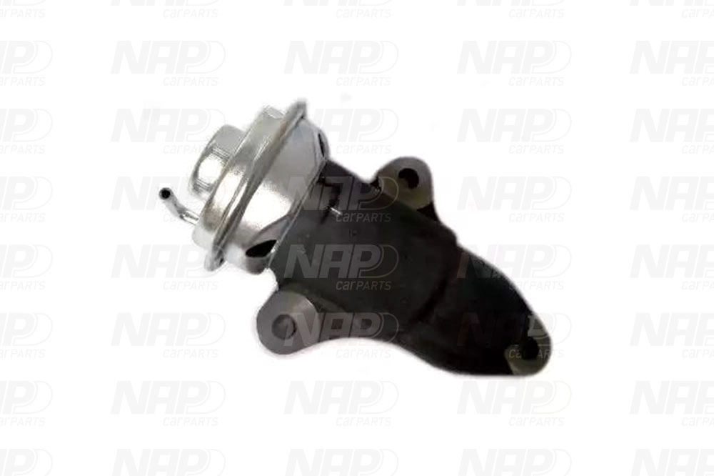 EGR Valve (CAV10169)