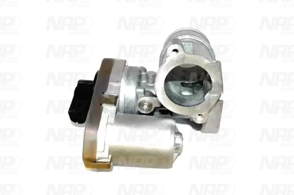 EGR Valve (CAV10069)