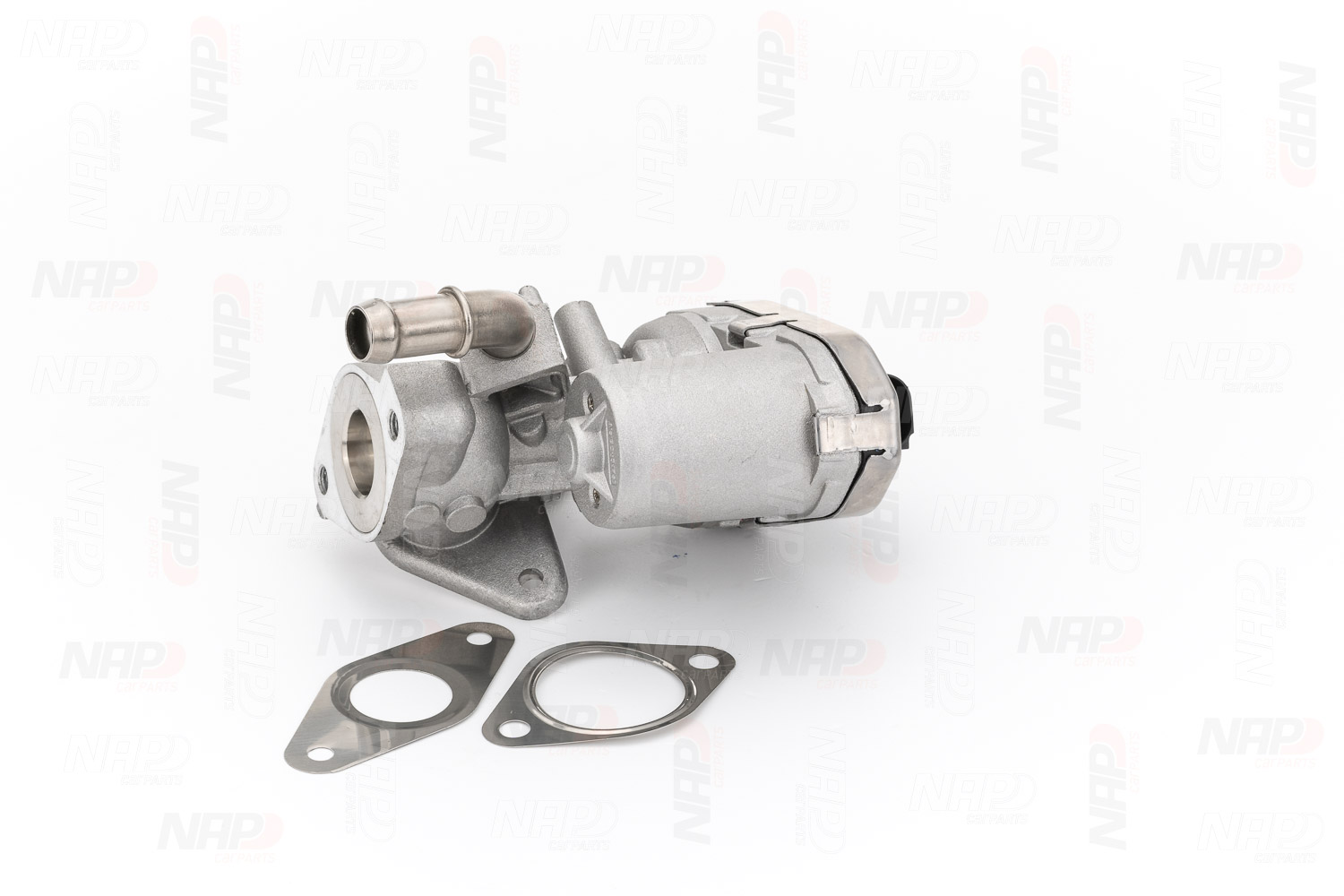 EGR Valve (CAV10070)