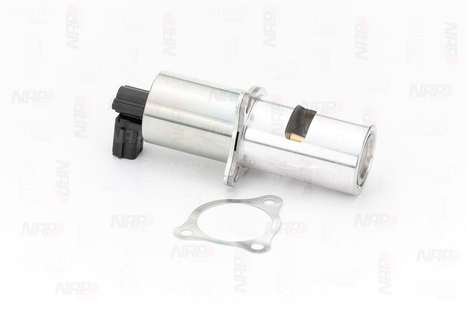 EGR Valve (CAV10020)