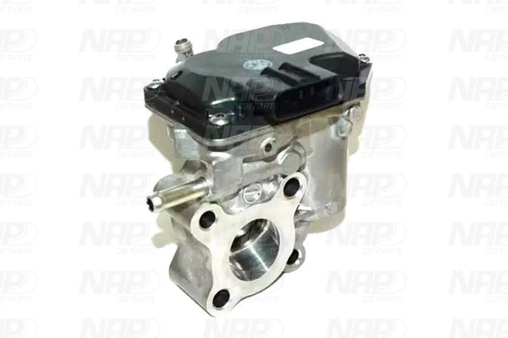EGR Valve (CAV10120)