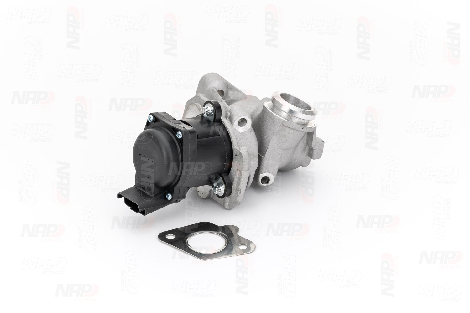 EGR Valve (CAV10052)