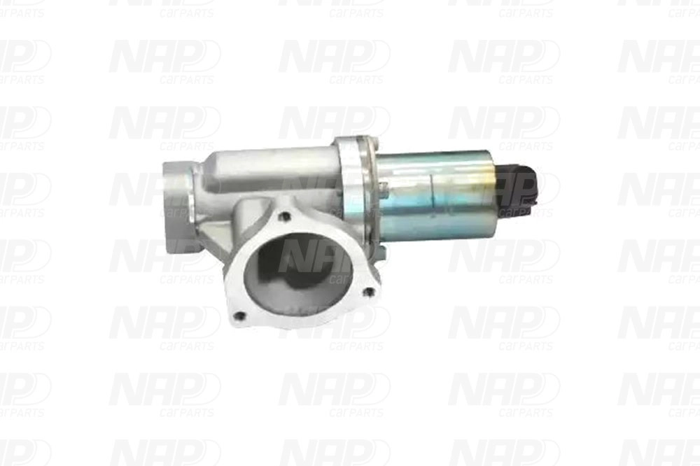 EGR Valve (CAV10066)