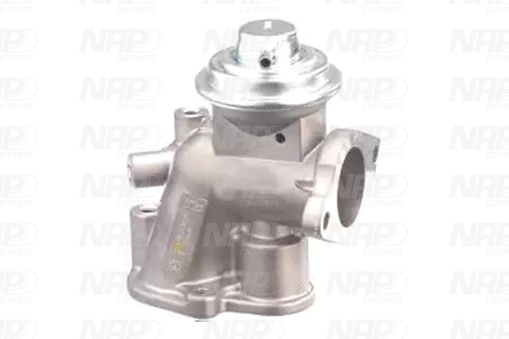 EGR Valve (CAV10136)