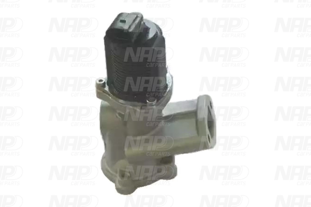 EGR Valve (CAV10054)