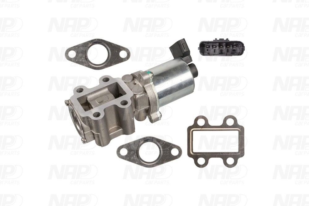 EGR Valve (CAV10156)