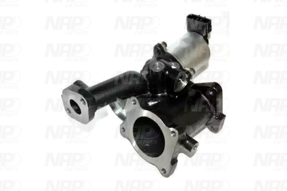 EGR Valve (CAV10112)