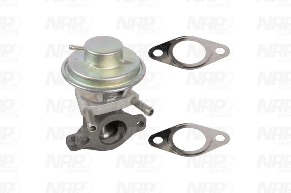 EGR Valve (CAV10138)