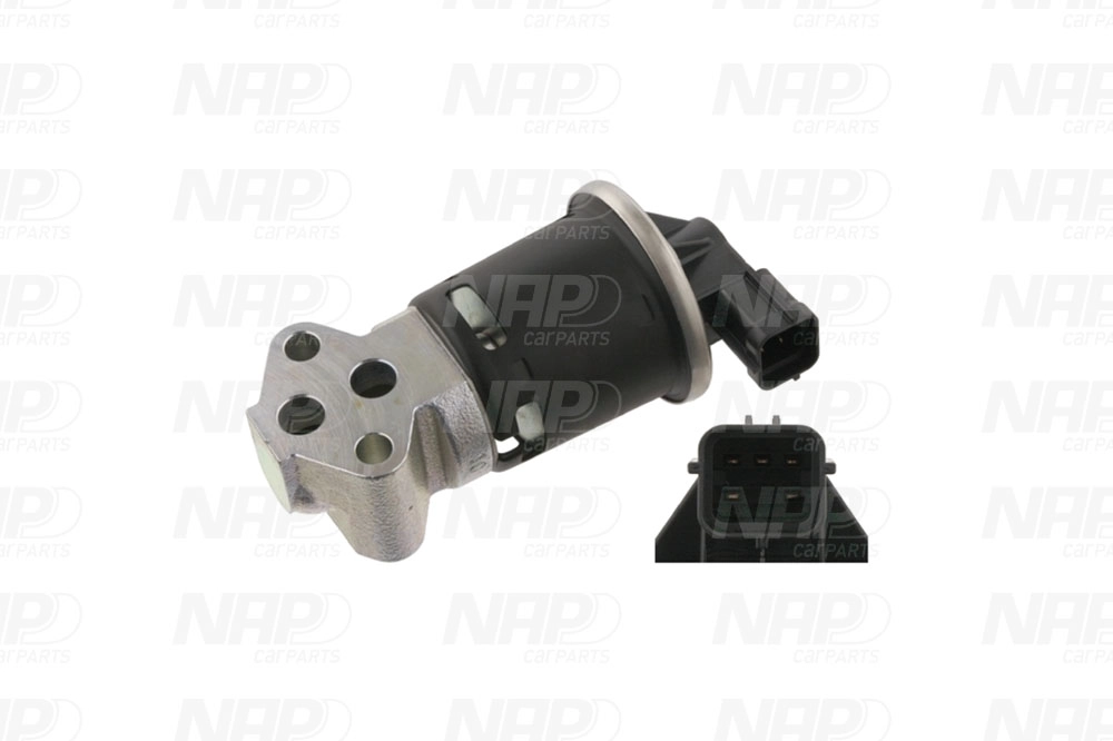 EGR Valve (CAV10024)