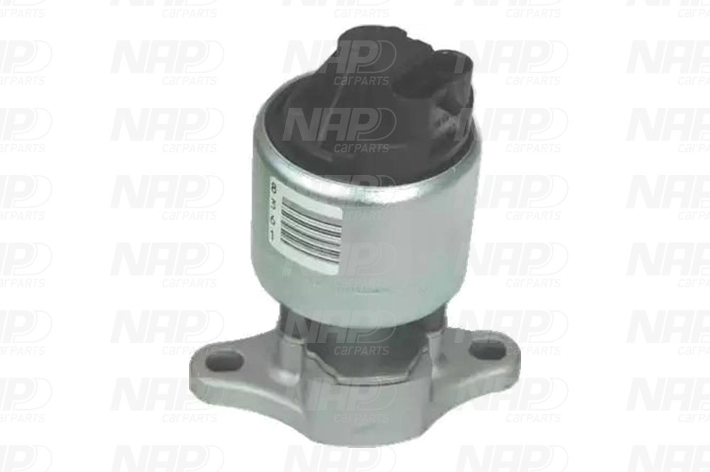 EGR Valve (CAV10004)