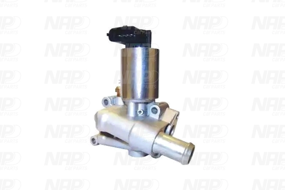 EGR Valve (CAV10003)