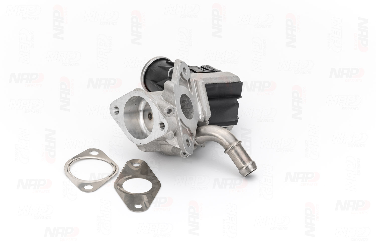 EGR Valve (CAV10098)