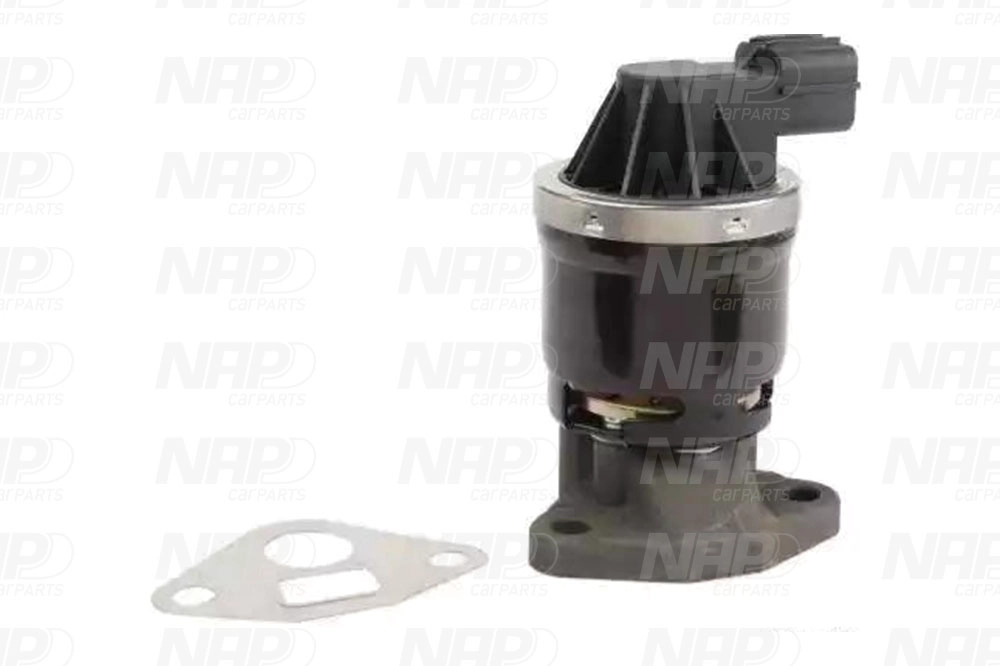 EGR Valve (CAV10106)