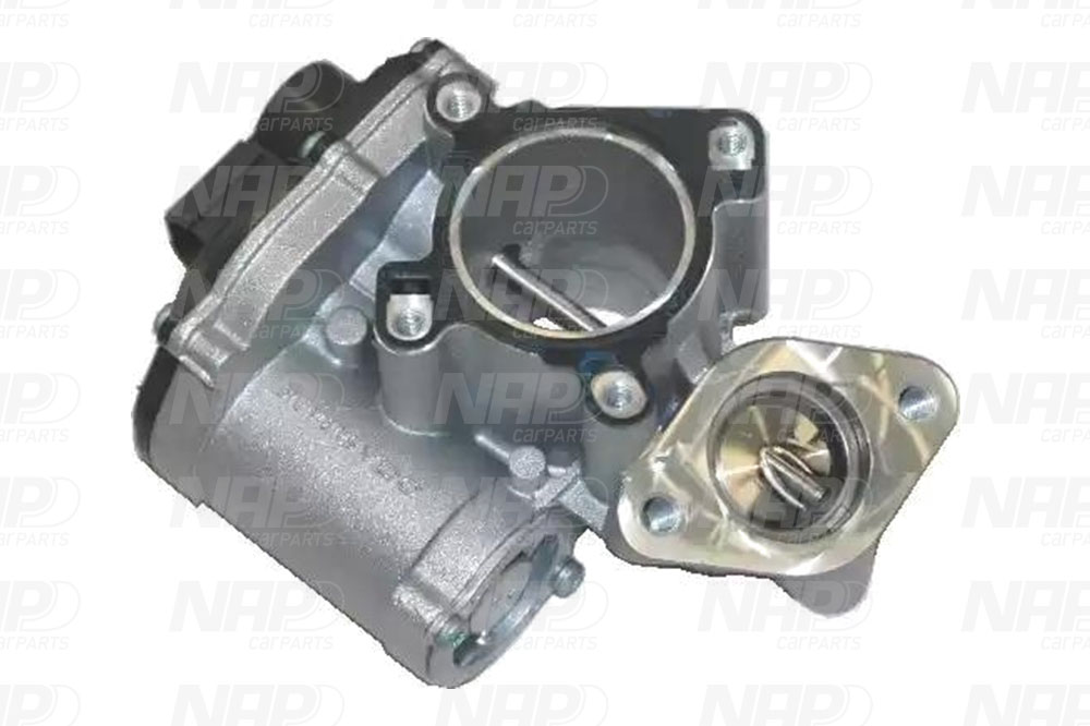 EGR Valve (CAV10063)