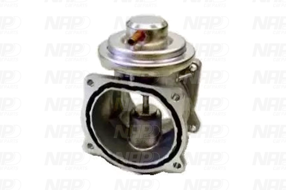 EGR Valve (CAV10087)