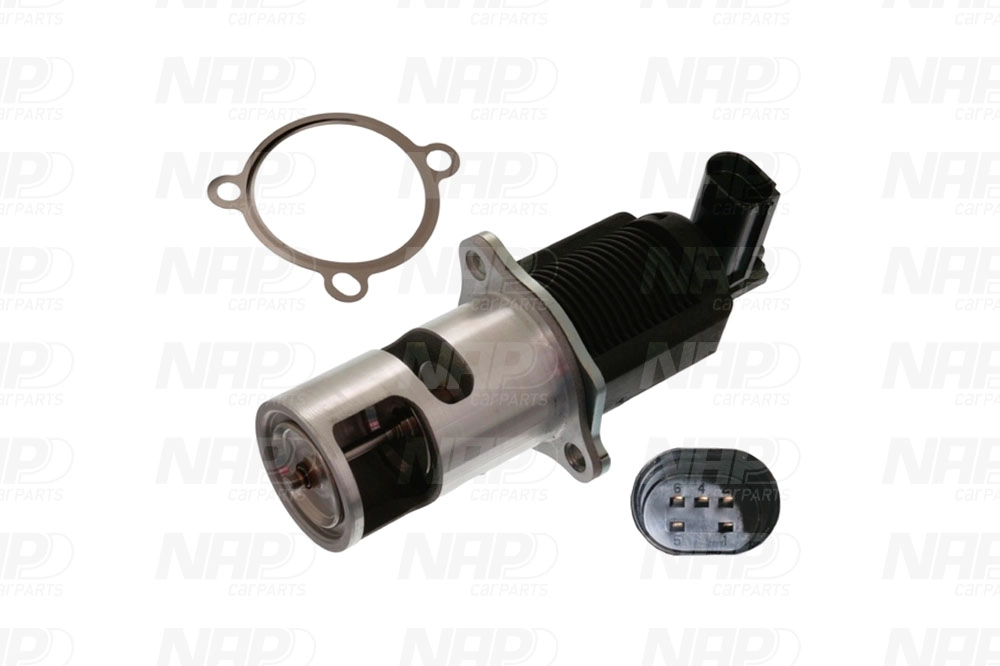 EGR Valve (CAV10032)